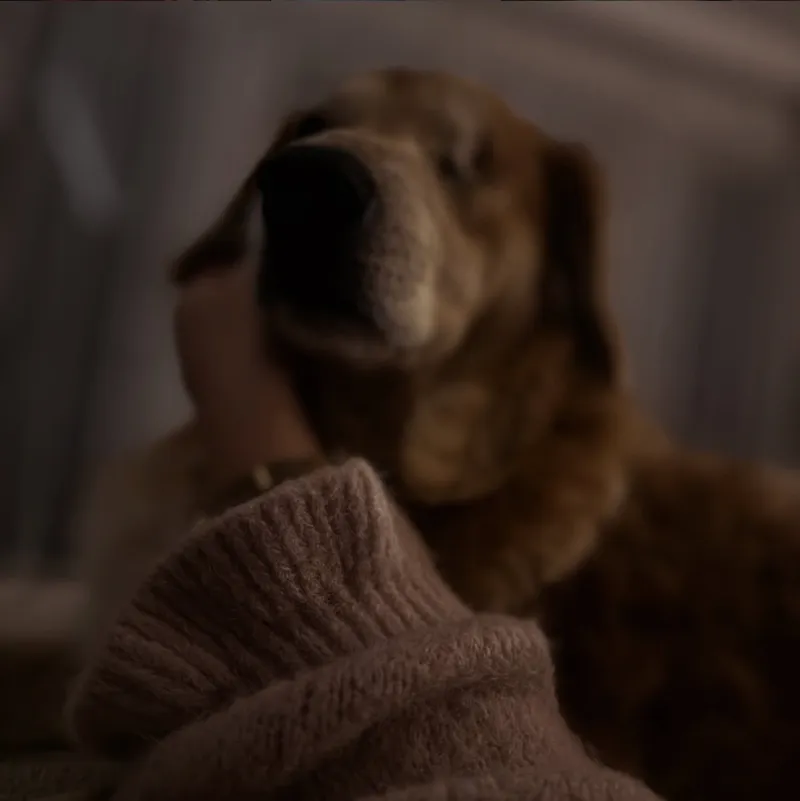 Chwila regeneracji — ciepło i spokój w Sylbi